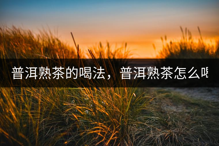 普洱熟茶的喝法，普洱熟茶怎么喝？