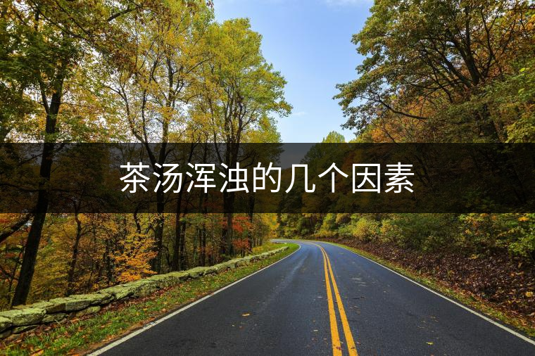 茶湯渾濁的幾個因素