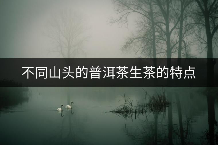 不同山頭的普洱茶生茶的特點