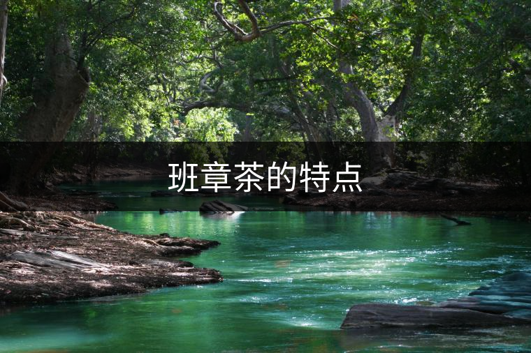 班章茶的特點(diǎn)