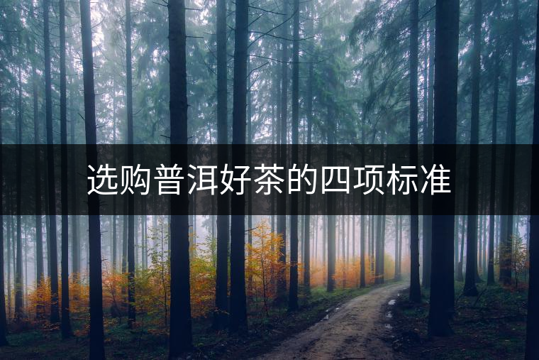 選購普洱好茶的四項標準