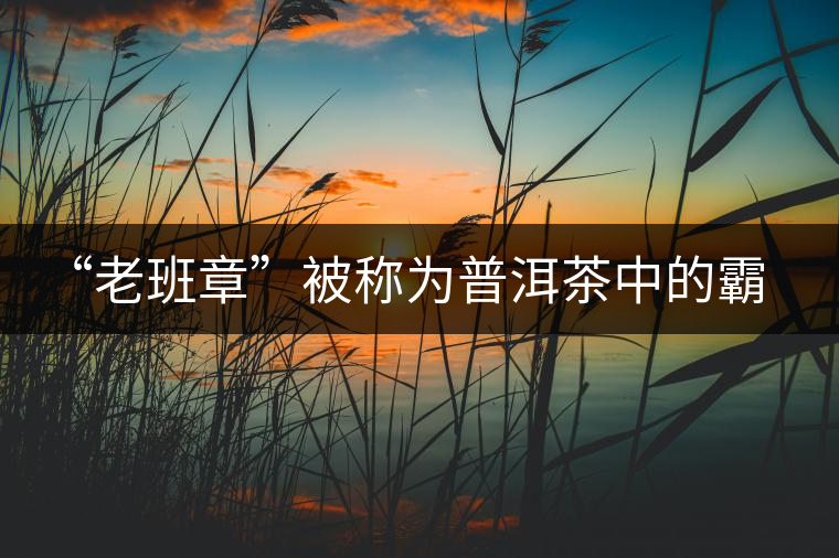 “老班章”被稱(chēng)為普洱茶中的霸王 “老班章”被稱(chēng)為普洱茶中的霸王