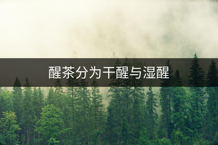 醒茶分為干醒與濕醒 醒茶分為干醒與濕醒