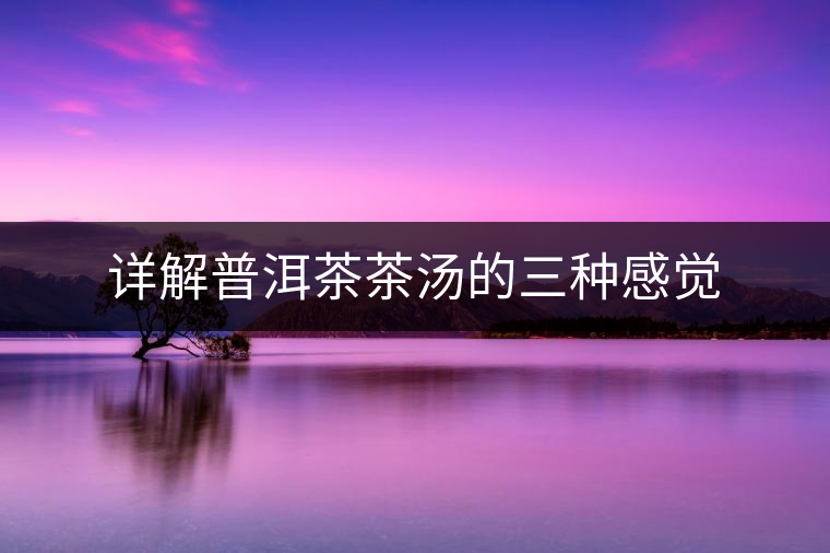 詳解普洱茶茶湯的三種感覺(jué)