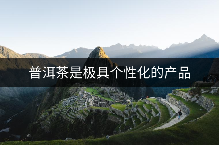 普洱茶是極具個性化的產(chǎn)品 普洱茶是極具個性化的產(chǎn)品