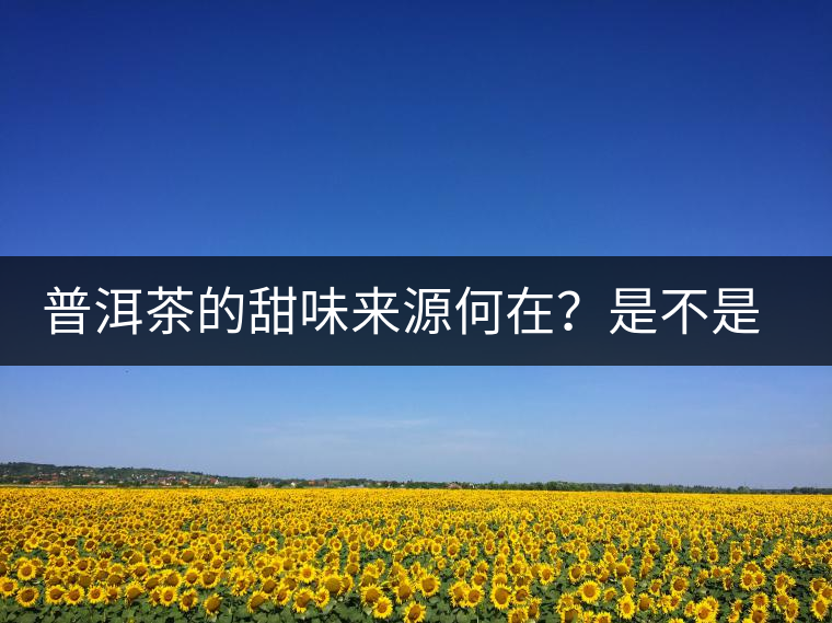 普洱茶的甜味來(lái)源何在？是不是茶湯中含糖？