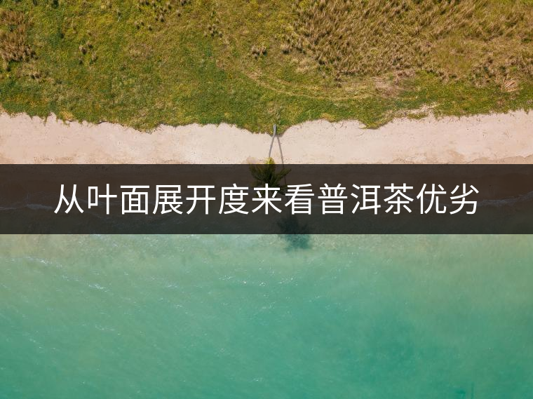 從葉面展開度來看普洱茶優(yōu)劣 從葉面展開度來看普洱茶優(yōu)劣