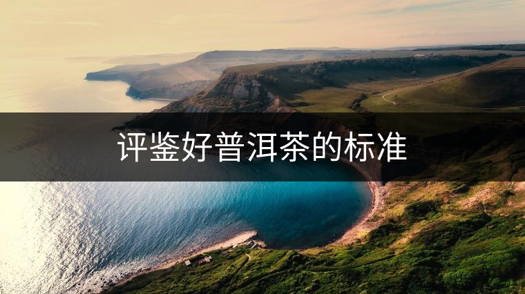 評(píng)鑒好普洱茶的標(biāo)準(zhǔn) 評(píng)鑒好普洱茶的標(biāo)準(zhǔn)