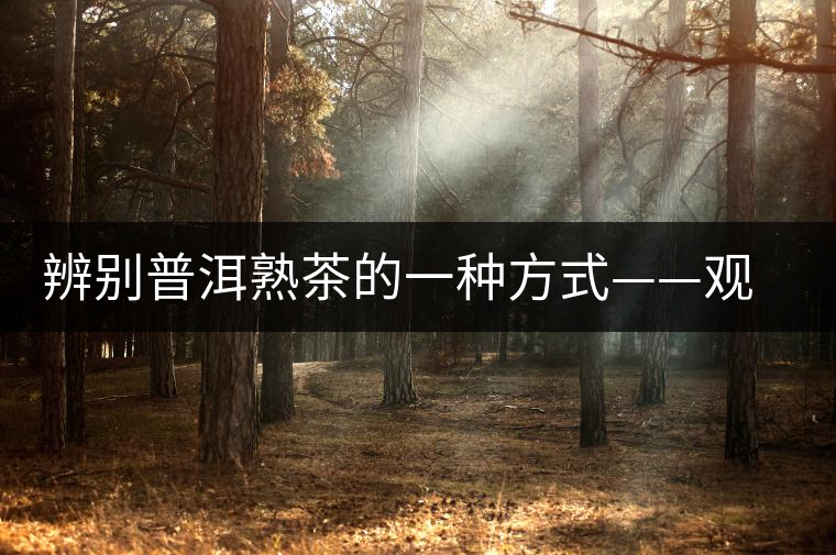 辨別普洱熟茶的一種方式——觀湯色 辨別普洱熟茶的一種方式——觀湯色