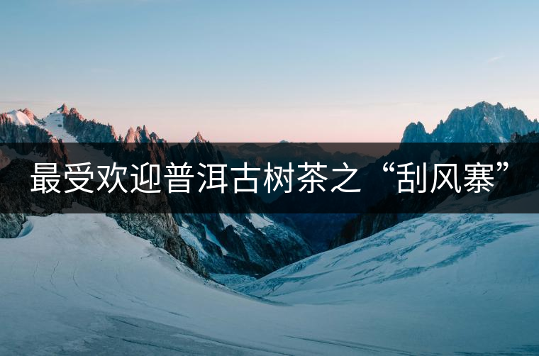 最受歡迎普洱古樹(shù)茶之“刮風(fēng)寨” 最受歡迎普洱古樹(shù)茶之“刮風(fēng)寨”