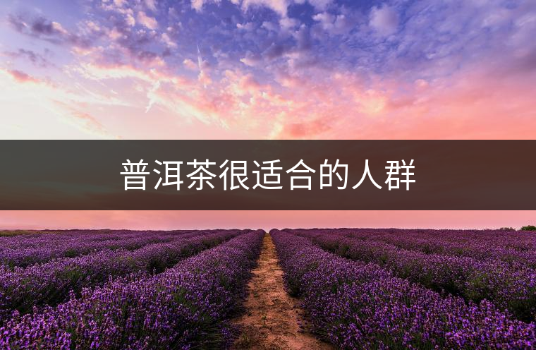 普洱茶很適合的人群 普洱茶很適合的人群