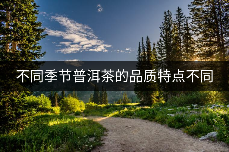 不同季節(jié)普洱茶的品質特點不同