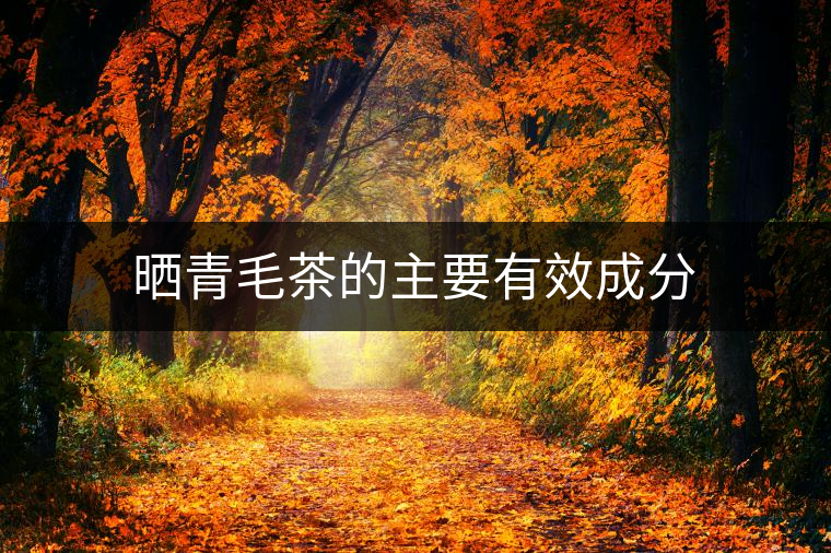 曬青毛茶的主要有效成分 曬青毛茶的主要有效成分