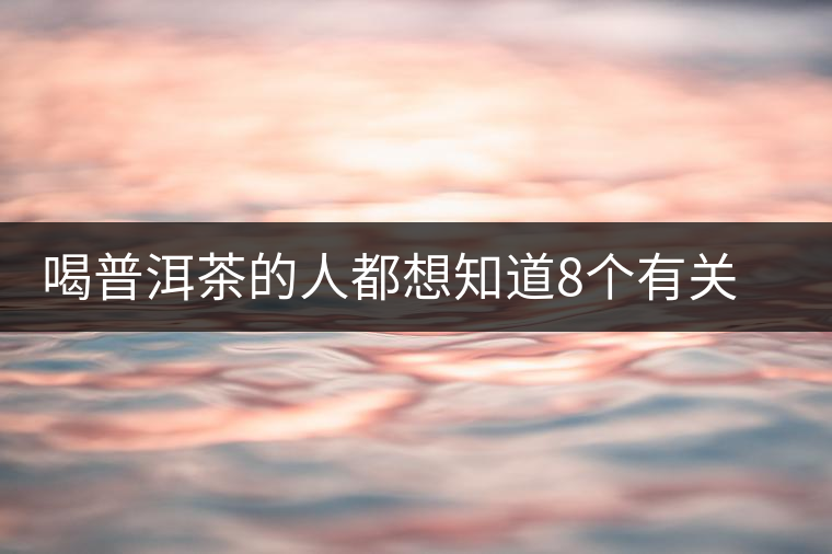 喝普洱茶的人都想知道8個有關(guān)普洱茶的問題 喝普洱茶的人都想知道8個有關(guān)普洱茶的問題
