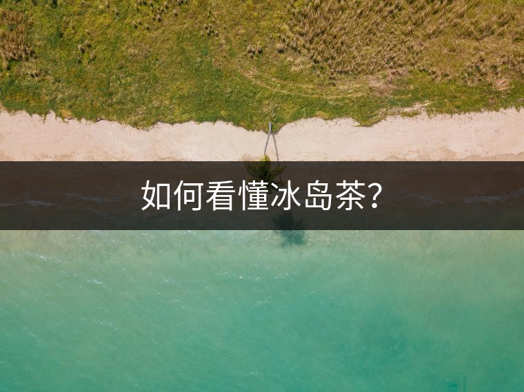 如何看懂冰島茶？