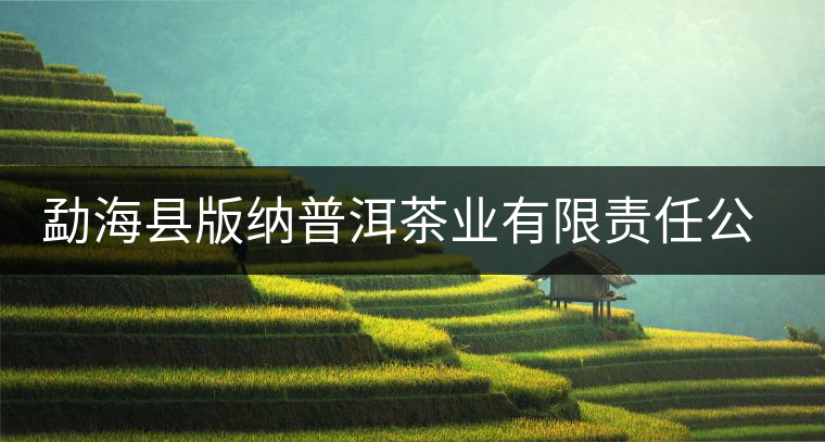 勐?？h版納普洱茶業(yè)有限責(zé)任公司