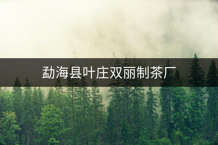 勐?？h葉莊雙麗制茶廠