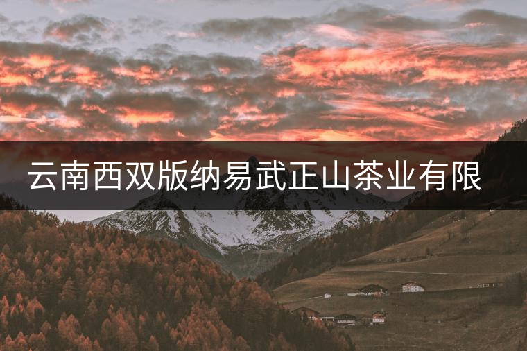 云南西雙版納易武正山茶業(yè)有限公司