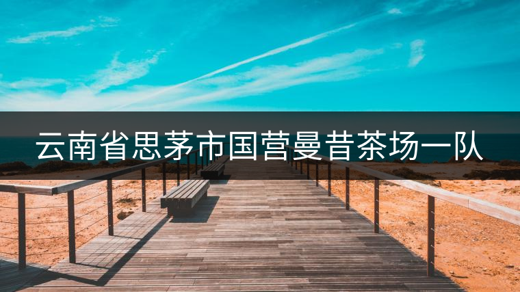云南省思茅市國(guó)營(yíng)曼昔茶場(chǎng)一隊(duì)