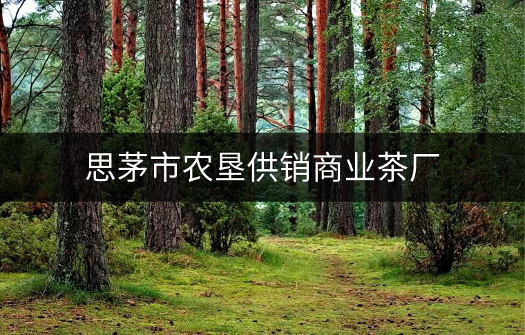 思茅市農(nóng)墾供銷商業(yè)茶廠 思茅市農(nóng)墾供銷商業(yè)茶廠