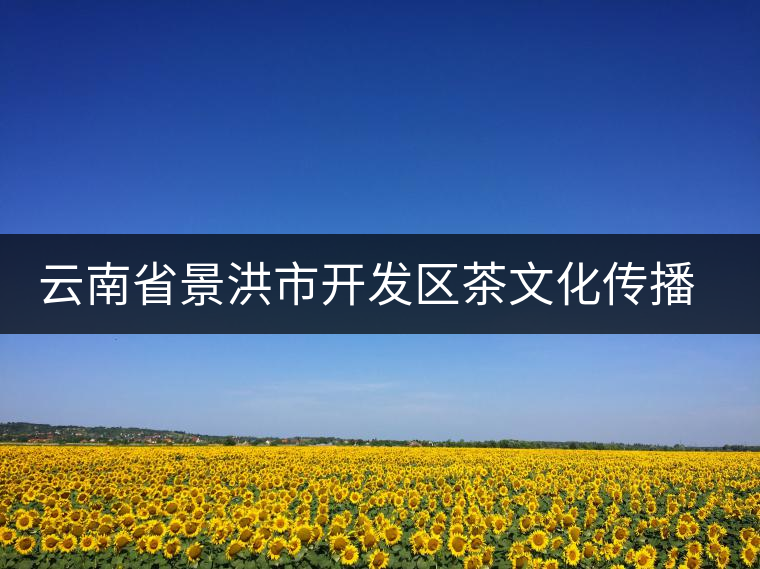 云南省景洪市開發(fā)區(qū)茶文化傳播中心 云南省景洪市開發(fā)區(qū)茶文化傳播中心