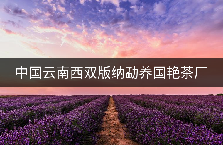 中國(guó)云南西雙版納勐養(yǎng)國(guó)艷茶廠 中國(guó)云南西雙版納勐養(yǎng)國(guó)艷茶廠