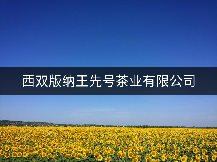 西雙版納王先號茶業(yè)有限公司 西雙版納王先號茶業(yè)有限公司