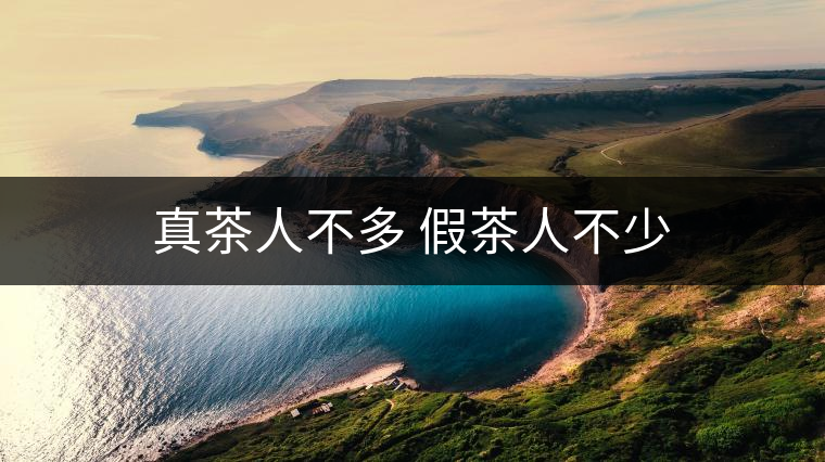 真茶人不多 假茶人不少