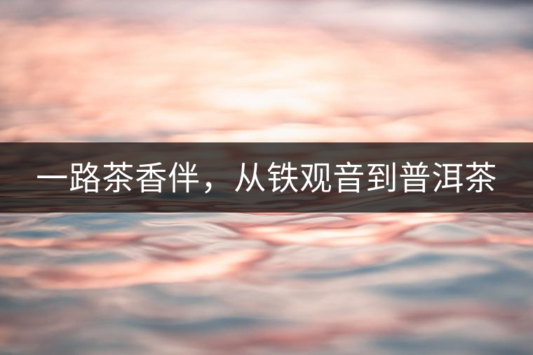 一路茶香伴，從鐵觀音到普洱茶