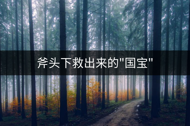 斧頭下救出來的