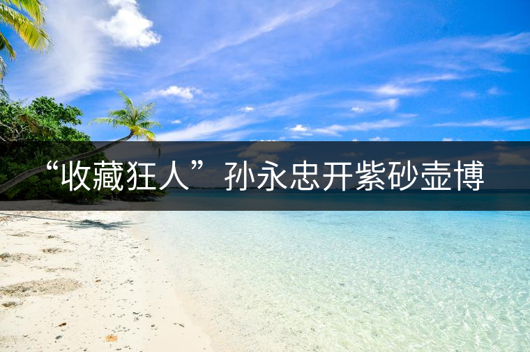 “收藏狂人”孫永忠開紫砂壺博物館