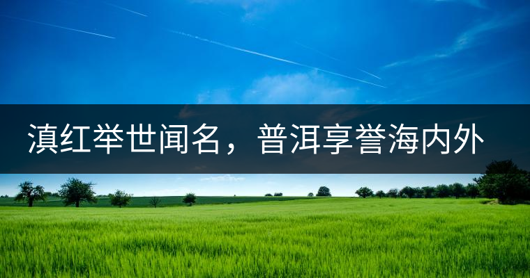 滇紅舉世聞名，普洱享譽海內(nèi)外丨專家座談——虞富蓮