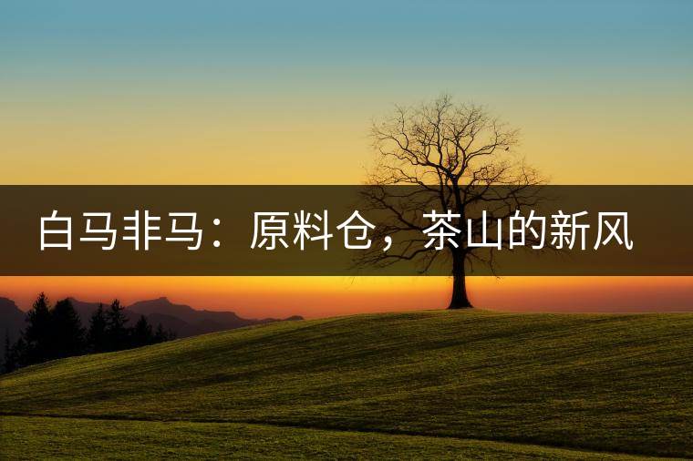 白馬非馬：原料倉，茶山的新風(fēng)景