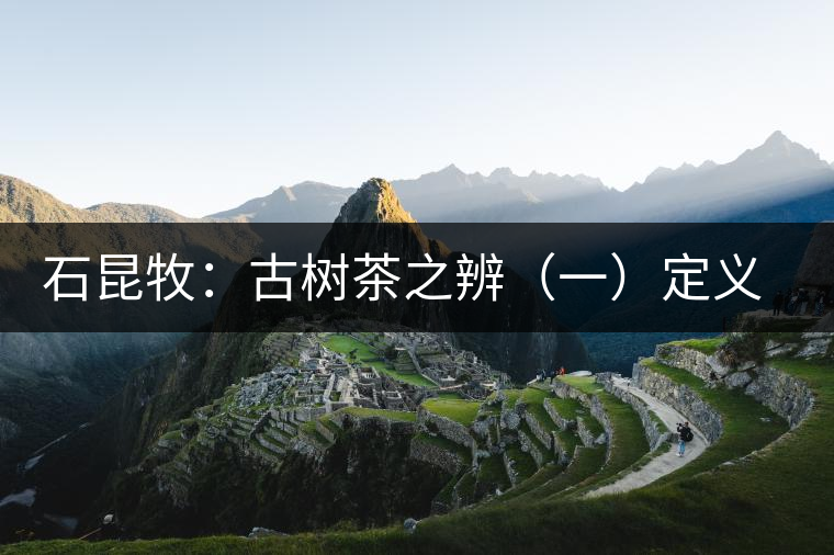 石昆牧：古樹茶之辨（一）定義厘清