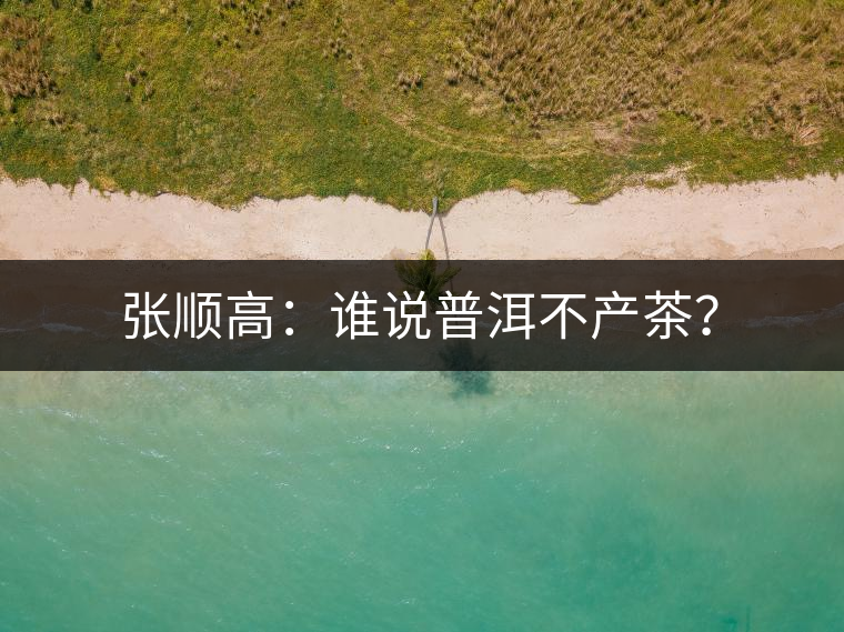 張順高：誰說普洱不產(chǎn)茶？