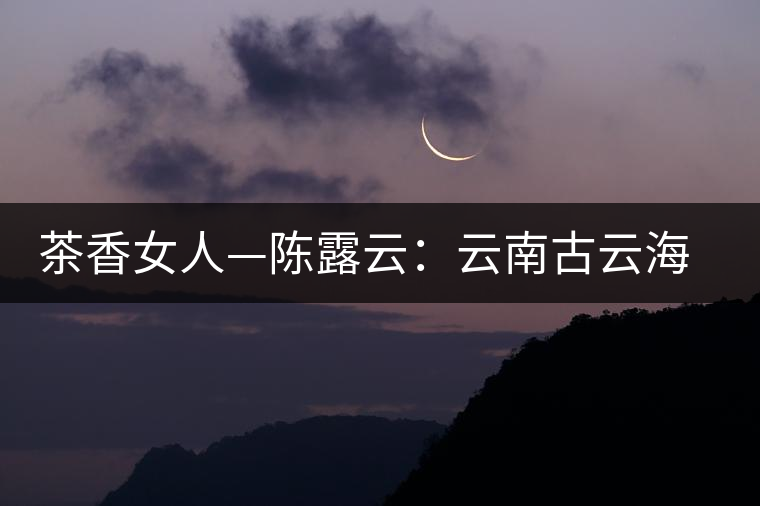 茶香女人—陳露云:云南古云海茶行總經(jīng)理 茶香女人—陳露云:云南古云海茶行總經(jīng)理