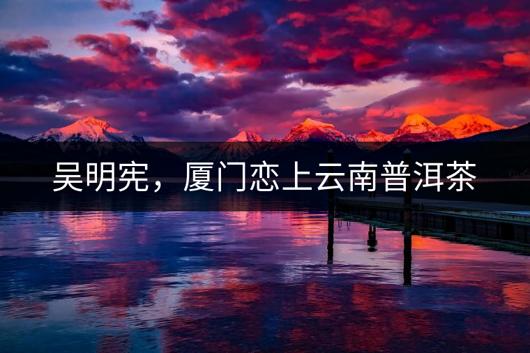 吳明憲，廈門戀上云南普洱茶