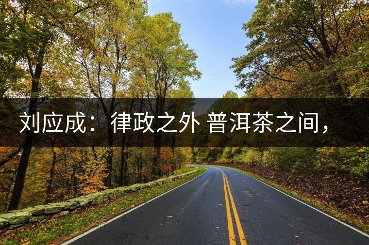 劉應(yīng)成：律政之外 普洱茶之間，在峨毛茶上的三個(gè)首創(chuàng)