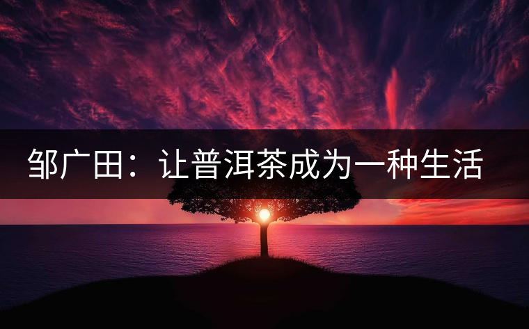 鄒廣田：讓普洱茶成為一種生活方式