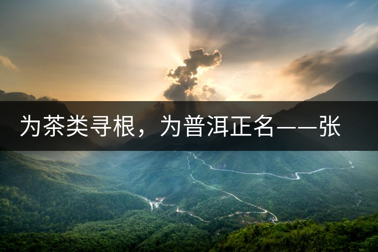 為茶類尋根，為普洱正名——張宏達的普洱茶研究