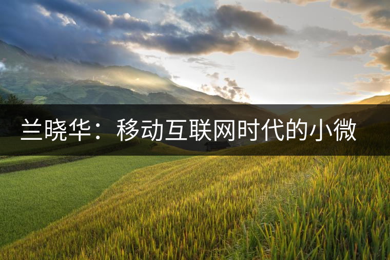 蘭曉華:移動(dòng)互聯(lián)網(wǎng)時(shí)代的小微企業(yè)創(chuàng)新活力 蘭曉華:移動(dòng)互聯(lián)網(wǎng)時(shí)代的小微企業(yè)創(chuàng)新活力