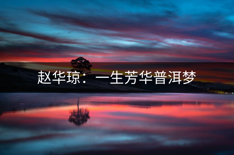 趙華瓊：一生芳華普洱夢(mèng)