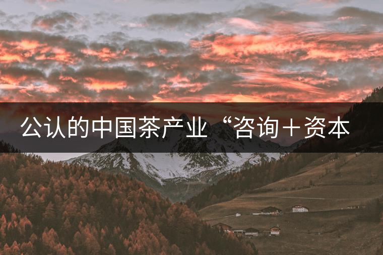 公認(rèn)的中國(guó)茶產(chǎn)業(yè)“咨詢(xún)＋資本”第一人：蔣同