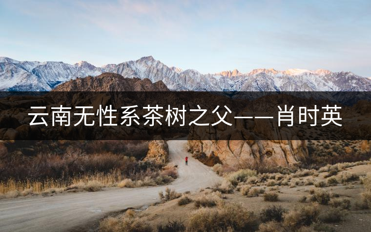 云南無(wú)性系茶樹(shù)之父——肖時(shí)英