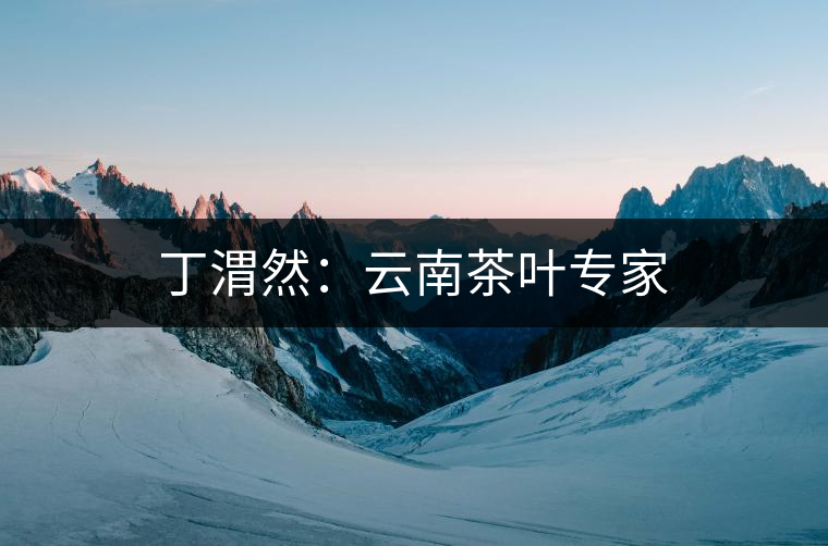 丁渭然:云南茶葉專(zhuān)家 丁渭然:云南茶葉專(zhuān)家