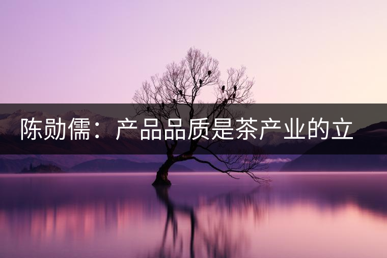 陳勛儒:產(chǎn)品品質(zhì)是茶產(chǎn)業(yè)的立足之本 陳勛儒:產(chǎn)品品質(zhì)是茶產(chǎn)業(yè)的立足之本