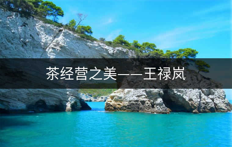 茶經(jīng)營之美——王祿嵐