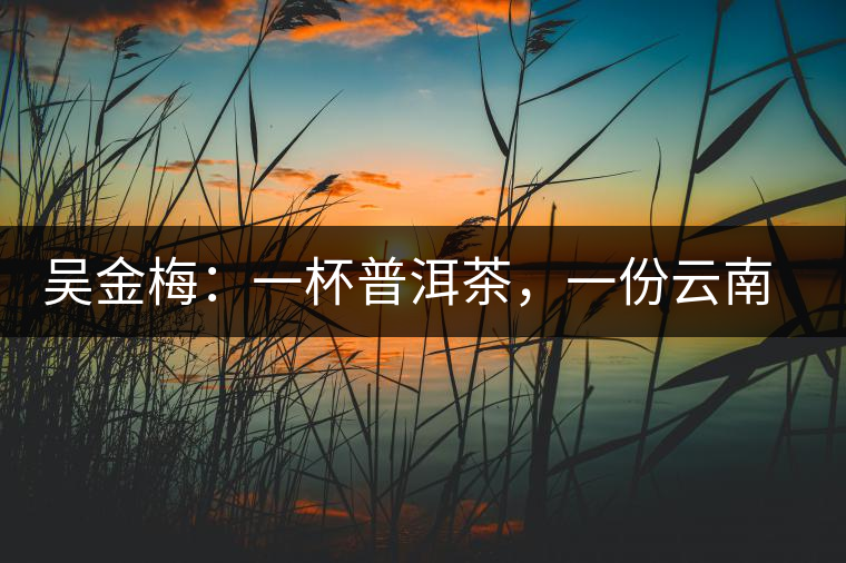 吳金梅：一杯普洱茶，一份云南情