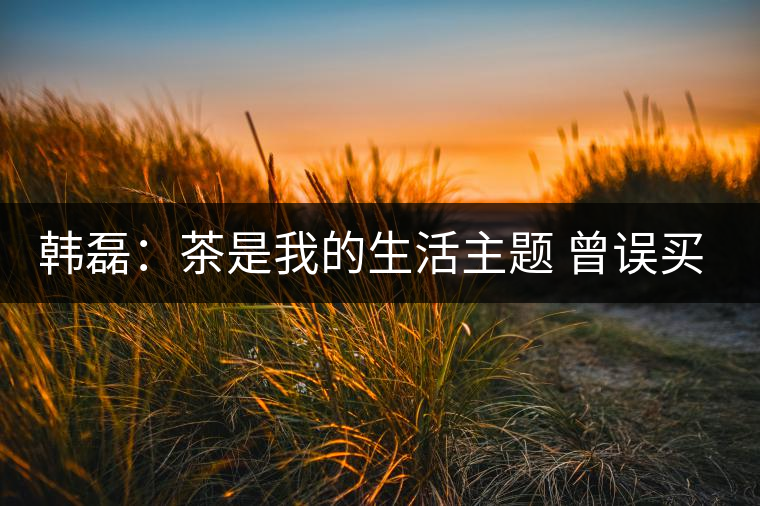 韓磊:茶是我的生活主題 曾誤買(mǎi)假紫砂 韓磊:茶是我的生活主題 曾誤買(mǎi)假紫砂
