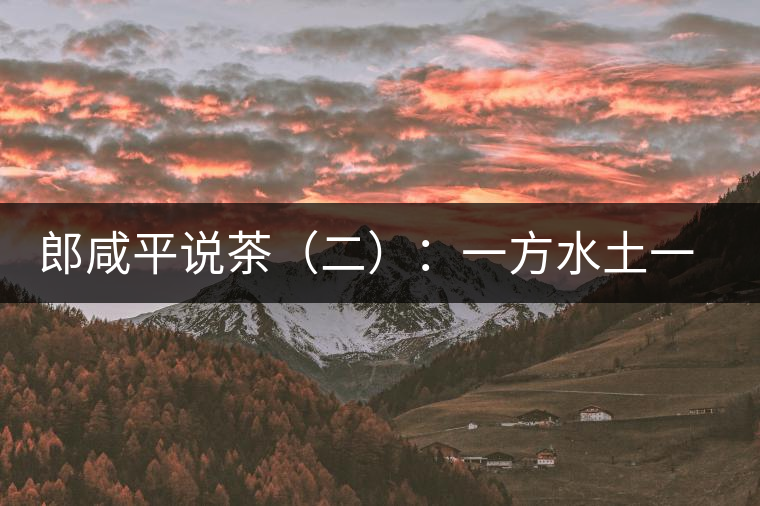 郎咸平說茶(二):一方水土一方人 郎咸平說茶(二):一方水土一方人